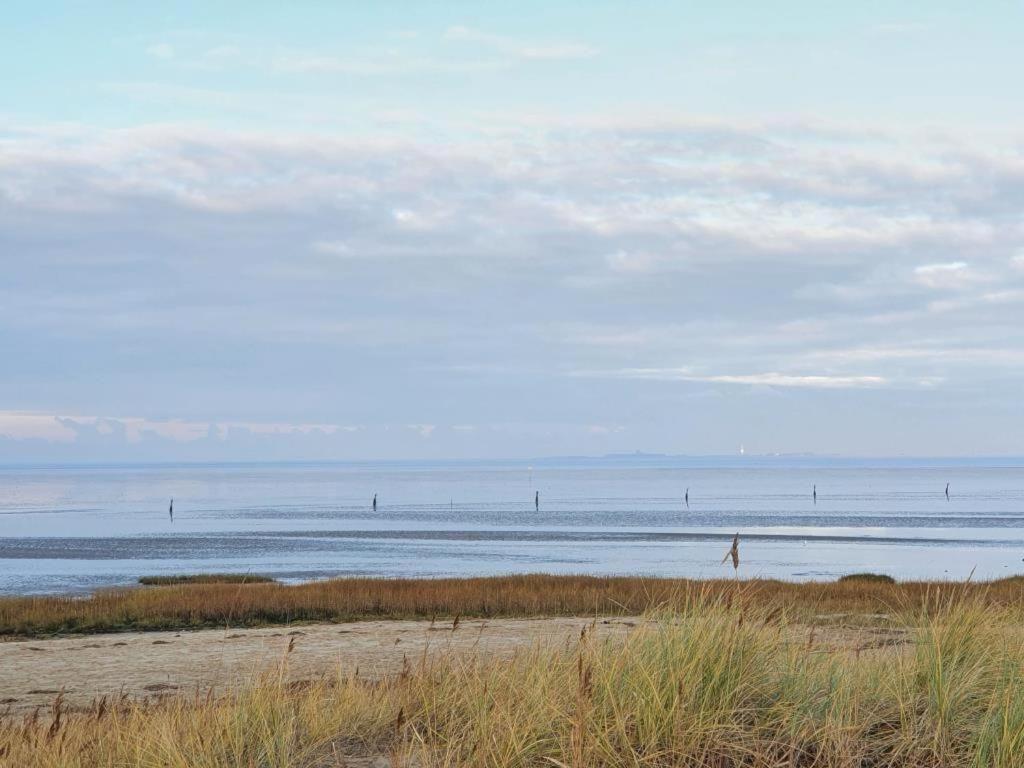 Frische Brise 12.11 *